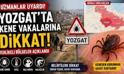 Yozgat'ta Kene Vakalarına Dikkat! Uzmanlar Tehlikeli Bölgeleri Açıkladı
