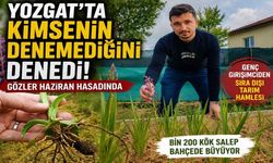 Yozgat'ta Kimsenin Denemediğini Denedi! Gözler Haziran Hasadında