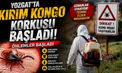 Yozgat’ta Kırım Kongo Korkusu Başladı: Önlemler Başladı