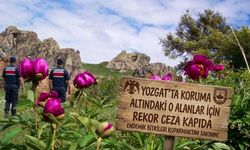 Yozgat’ta Koruma Altındaki O Alanlar İçin Rekor Ceza Kapıda