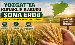 Yozgat'ta Kuraklık Kabusu Sona Erdi! Buğdayda Rekor Hasat Bekleniyor