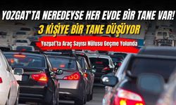 Yozgat'ta Neredeyse Her Evde Bir Tane Var! 3 Kişiye Bir Tane Düşüyor