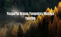 Yozgat'ta Orman Yangınları Masaya Yatırıldı