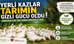 Yozgat’ta Reforme Kazlar Tarımın Gizli Gücü Oldu!