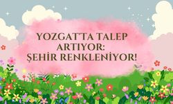Yozgat'ta Talep Artıyor: Şehir Renkleniyor!