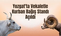 Yozgat'ta Vekaletle Kurban Bağış Standı Açıldı