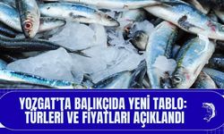 Yozgat’ta Balıkçıda Yeni Tablo: Türleri ve Fiyatları Açıklandı