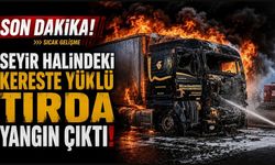 Son dakika: Seyir halindeki kereste yüklü tırda yangın çıktı