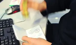Vize alacaklar dikkat! Bakanlık o şirketlere inceleme başlattı