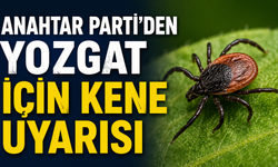 Anahtar Parti'den Yozgat İçin Kene Uyarısı