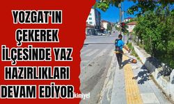 Yozgat'ın Çekerek İlçesinde Yaz Hazırlıkları Devam Ediyor