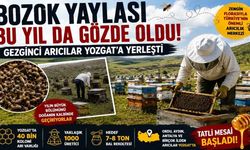 Bozok Yaylası Bu Yıl da Gözde Oldu! Gezginci Arıcılar Yozgat'a Yerleşti