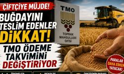 Buğdayını Teslim Edenler Dikkat! TMO Ödeme Takvimini Değiştiriyor