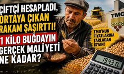 Çiftçi Hesapladı, Ortaya Çıkan Rakam Şaşırttı! 1 Kilo Buğdayın Gerçek Maliyeti Ne Kadar?