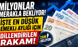 En Düşük Emekli Maaşı Ne Kadar Olacak? SGK Uzmanı Yeni Rakamı Açıkladı