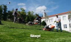 Haberimiz Yozgat Belediyesini Harekete Geçirdi: Parklarda İlaçlama Başladı
