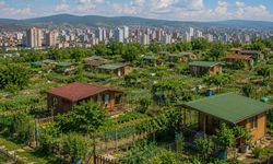 Hobi Bahçeleri Yıkılacak mı? Yeni Yasadaki Kritik Detay Dikkat Çekti