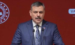 İçişleri Bakanlığı Kesin Karar:Yozgat'ta Sokaklarda Bir Tane Bile Kalmayacak!