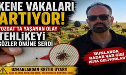 Kene Vakaları Artıyor! Yozgat’ta Yaşanan Olay Tehlikeyi Gözler Önüne Serdi