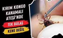 Kırım Kongo Kanamalı Ateşi'nde Tek Bulaş Kene Değil!