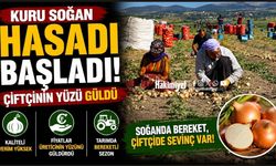 Kuru soğan hasadı başladı: Çiftçinin yüzü güldü