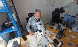 Profesör Scott Branting Açıkladı: Yozgat'taki Antik Kentte Dünyayı Şaşırtan Sır!