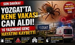 Son dakika: Yozgat’ta kene vakası can aldı, 16 yaşındaki genç hayatını kaybetti