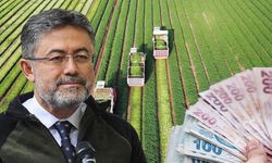 Tarımda Dev Hibe Desteği: Milyonlarca Lira Üreticilere Ulaştı