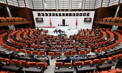 Tarım ve orman düzenlemesi TBMM gündeminde: Teklifte neler var, neler tartışılıyor?
