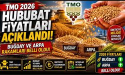 TMO 2026 Hububat Fiyatları Açıklandı: Buğday ve Arpa Rakamları Belli Oldu