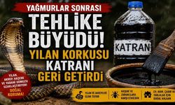 Yağmurlar Sonrası Tehlike Büyüdü! Yılan Korkusu Katranı Geri Getirdi