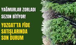 Yağmurlar Zorladı Sezon Bitiyor! Yozgat’ta Fide Satışlarında Son Durum