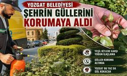 Yozgat Belediyesi Şehrin Güllerini Korumaya Aldı