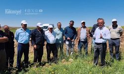 Yozgat Bozok Üniversitesi'nden Tarımda Devrim: Yıllardır Beklenen Müjde Çiftçiye Tanıtıldı!