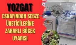 Yozgat Esnafından Sebze Üreticilerine Zararlı Böcek Uyarısı