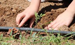 Yozgat İl Milli Eğitim’den Dev Adım: 'Köklerden Geleceğe' Uzanan O Proje Başladı!