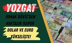 Yozgat Irmak Döviz’den Haftalık Rapor: Dolar ve Euro Yükselişte!