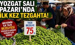 Yozgat Salı Pazarı’nda İlk Kez Tezgahta!