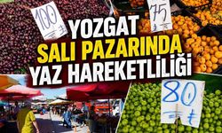 Yozgat Salı Pazarında Yaz Hareketliliği