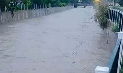 Yozgat, Şefaatli Belediye Başkanı Bozkurt: Proje Taşkınları Önledi