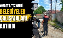 Yozgat'a Yaz Geldi, Belediyeler Çalışmaları Artırdı