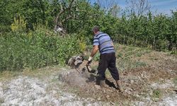 Yozgat'ın Çandır İlçesinde Şeker Pancarı Çapası İşçilik Ücretleri Açıklandı