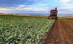 Yozgatlı Çiftçilere 1 Temmuz Uyarısı: Belgesi Olmayana İlaç Yok!