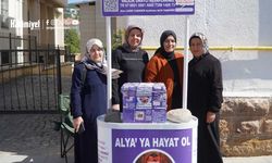 Yozgatlı Minik Alya İçin Son Çağrı: Umut Yolculuğunda Kritik Dönemeç!
