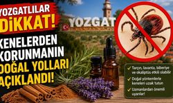 Yozgatlılar Dikkat! Kenelerden Korunmanın Doğal Yolları Açıklandı!