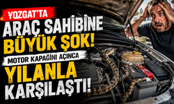Yozgat’ta Araç Sahibine Büyük Şok! Motor Kapağını Açınca Yılanla Karşılaştı