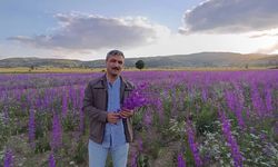 Yozgat'ta Doğal Stüdyo Sürprizi: Bakan Bir Daha Bakıyor!