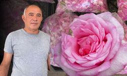 Yozgat'ta Doğal Ürünler Tezgahta: Rağbet Yüksek