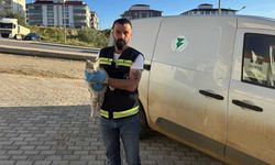 Yozgat’ta Duyarlı Vatandaş İhbar Etti, Belediye Ekipleri Harekete Geçti!