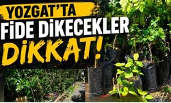 Yozgat’ta Fide Dikecekler Dikkat! Gün Dönümüne Kadar Süreniz Var